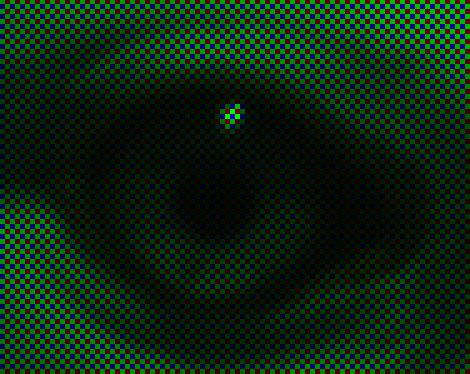 RAW gull's eye, showing RGB camera pixels