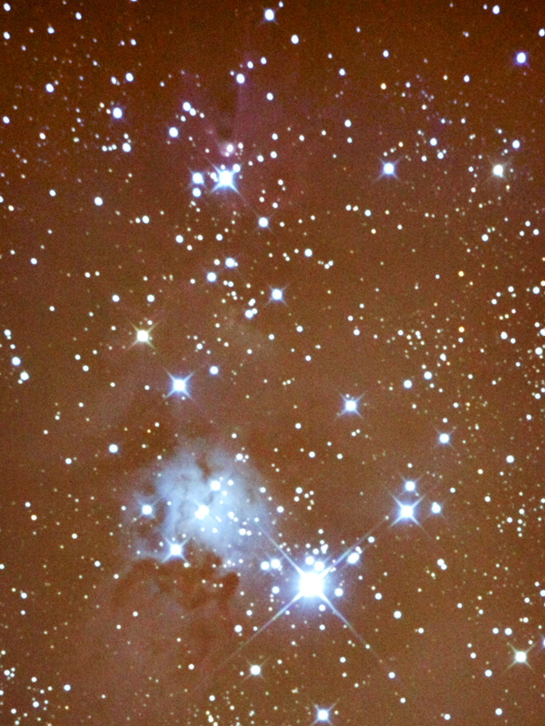 Photo of the Christmas Tree cluster and nebula